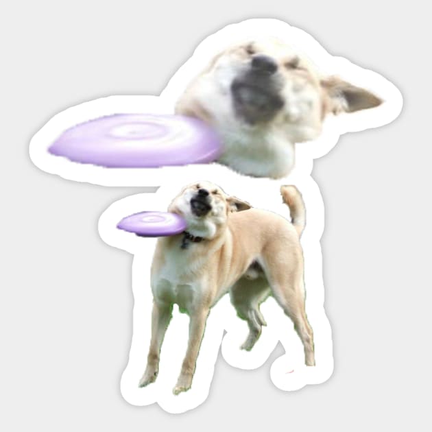 Frisbee Dog 1 Sticker by James Mclean